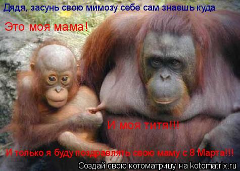Котоматрица: Дядя, засунь свою мимозу себе сам знаешь куда Это моя мама! И моя титя!!! И только я буду поздравлять свою маму с 8 Марта!!!