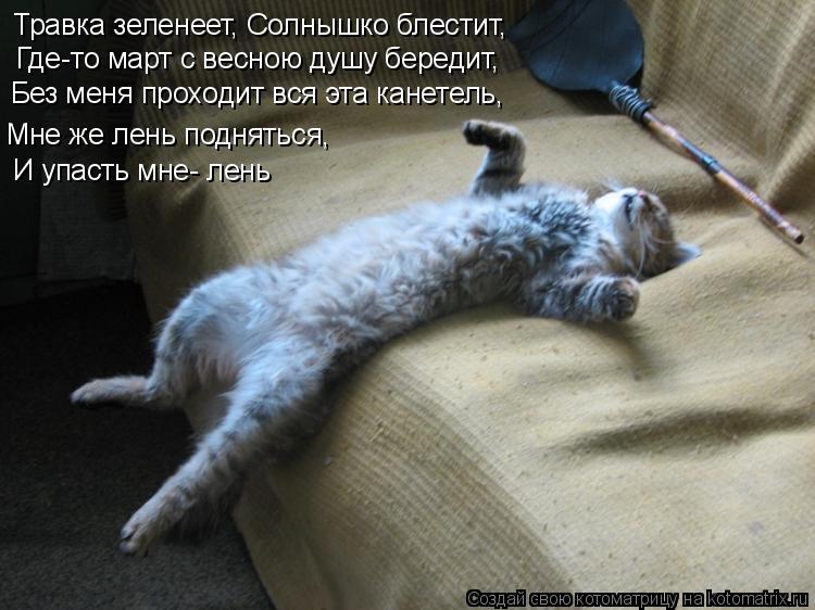 Котоматрица: Травка зеленеет, Солнышко блестит, Где-то март с весною душу бередит, И упасть мне- лень Без меня проходит вся эта канетель, Мне же лень подня