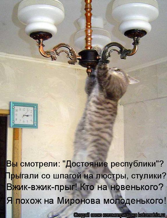 Вжик-вжик-прыг! Кто на новенького? Я похож на Миронова молоденького! Вы смотрели: "Достояние республи... Котоматрица: Вжик-вжик-прыг! Кто на новенького? Я похож на Миронова молоденького! Вы смотрели: "Достояние республики"? Прыгали со шпагой на люстры, стулик