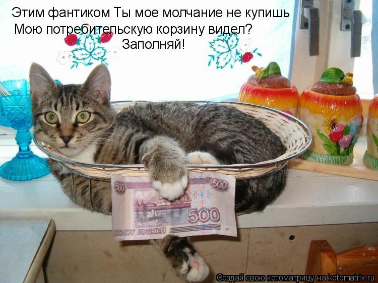Этим фантиком Ты мое молчание не купишь Мою потребительскую корзину видел? Заполняй!... Котоматрица: Этим фантиком Ты мое молчание не купишь Мою потребительскую корзину видел? Заполняй!