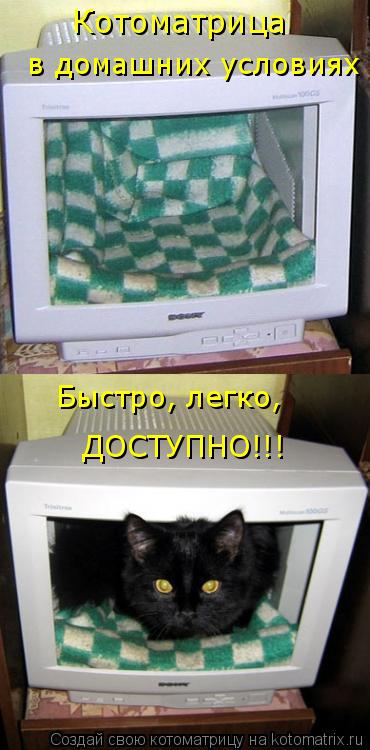 Котоматрица в домашних условиях Быстро, легко, ДОСТУПНО!!!... Котоматрица: Котоматрица в домашних условиях Быстро, легко, ДОСТУПНО!!!
