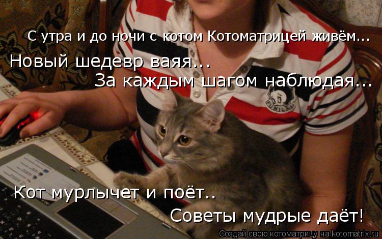 Новый шедевр ваяя... За каждым шагом наблюдая... Советы мудрые даёт! Кот мурлычет и поёт.. С утра и д... Котоматрица: Новый шедевр ваяя... За каждым шагом наблюдая... Советы мудрые даёт! Кот мурлычет и поёт.. С утра и до ночи с котом Котоматрицей живём...