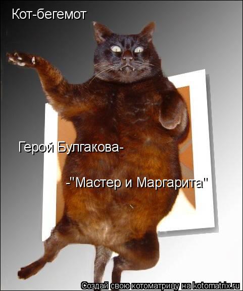 Кот-бегемот Герой Булгакова- -"Мастер и Маргарита"... Котоматрица: Кот-бегемот Герой Булгакова- -"Мастер и Маргарита"