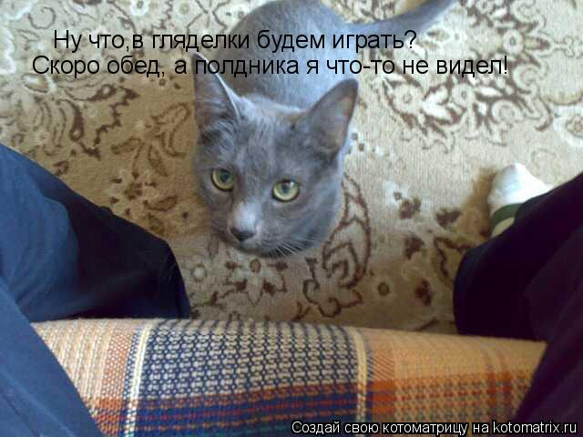 Ну что,в гляделки будем играть? Скоро обед, а полдника я что-то не видел!... Котоматрица: Ну что,в гляделки будем играть? Скоро обед, а полдника я что-то не видел!