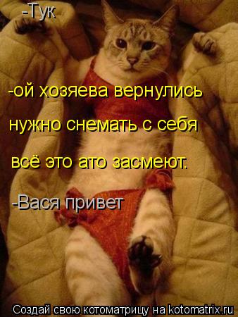Как правильно снемаю или снимаю Котоматрица: Поиск котоматрицы