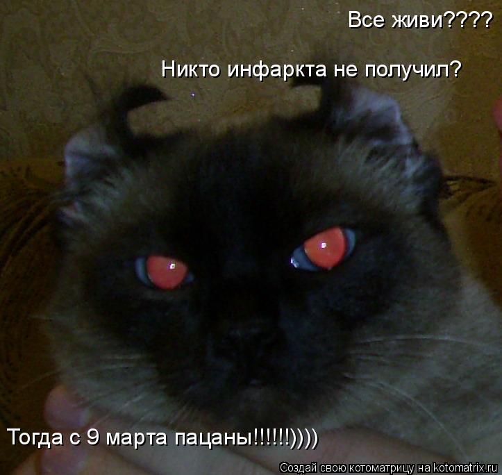 Все живи???? Никто инфаркта не получил? Тогда с 9 марта пацаны!!!!!!))))... Котоматрица: Все живи???? Никто инфаркта не получил? Тогда с 9 марта пацаны!!!!!!))))