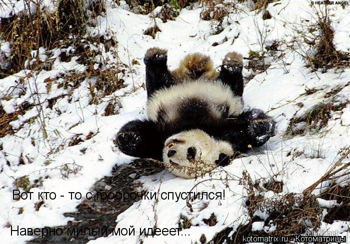 Вот кто - то с гооорочки спустился! Наверно милый мой идееет...... Котоматрица: Вот кто - то с гооорочки спустился! Наверно милый мой идееет...