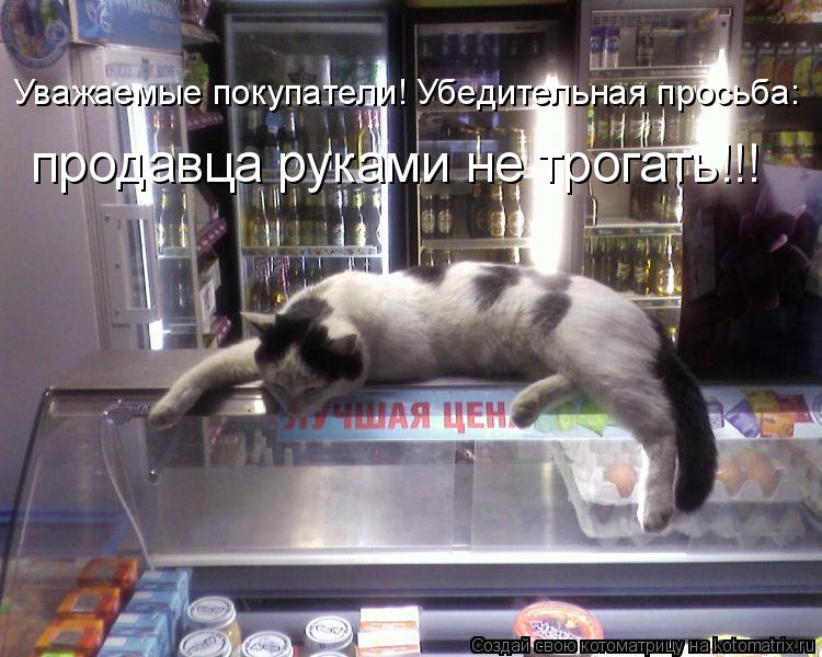 Уважаемые покупатели! Убедительная просьба: продавца руками не трогать!!!... Котоматрица: Уважаемые покупатели! Убедительная просьба: продавца руками не трогать!!!