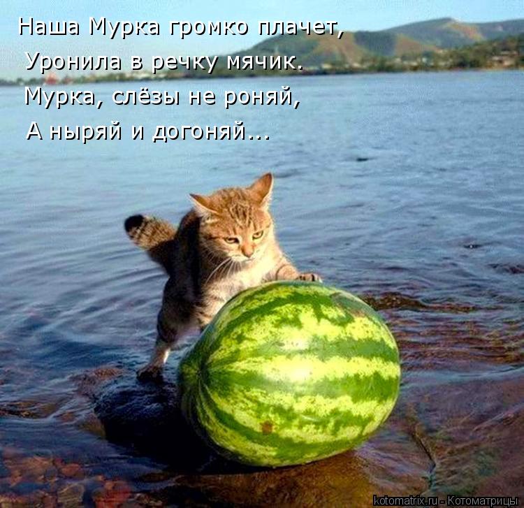Наша Мурка громко плачет, Уронила в речку мячик. Мурка, слёзы не роняй, А ныряй и догоняй...... Котоматрица: Наша Мурка громко плачет, Уронила в речку мячик. Мурка, слёзы не роняй, А ныряй и догоняй...