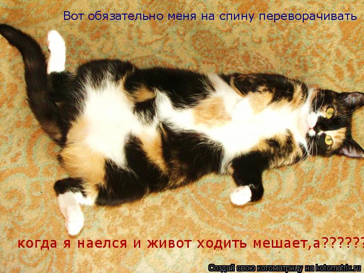 Я набираюсь сил в своем доме Я набираюсь сил в своем доме