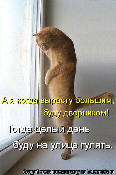 А я когда вырасту большим, буду дворником! Тогда целый день буду на улице гулять.... Котоматрица: А я когда вырасту большим, буду дворником! Тогда целый день буду на улице гулять.