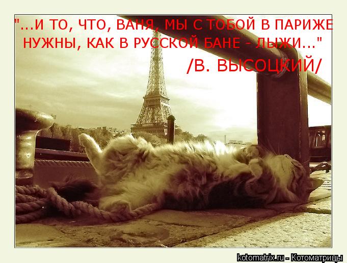 НУЖНЫ, КАК В РУССКОЙ БАНЕ - ЛЫЖИ..." "...И ТО, ЧТО, ВАНЯ, МЫ С ТОБОЙ В ПАРИЖЕ /В. ВЫСОЦКИЙ/... Котоматрица: НУЖНЫ, КАК В РУССКОЙ БАНЕ - ЛЫЖИ..." "...И ТО, ЧТО, ВАНЯ, МЫ С ТОБОЙ В ПАРИЖЕ /В. ВЫСОЦКИЙ/
