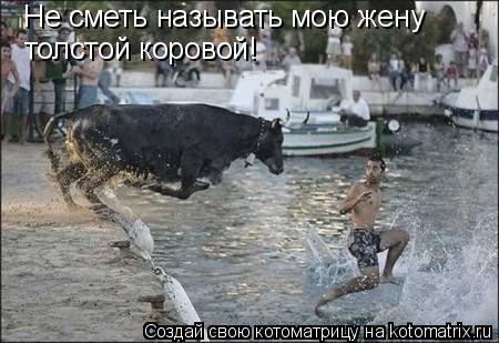 Не сметь называть мою жену толстой коровой!... Котоматрица: Не сметь называть мою жену толстой коровой!