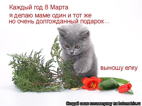 Каждый год 8 Марта я делаю маме один и тот же но очень долгожданный подарок выношу елку ...... Котоматрица: Каждый год 8 Марта я делаю маме один и тот же но очень долгожданный подарок выношу елку ...