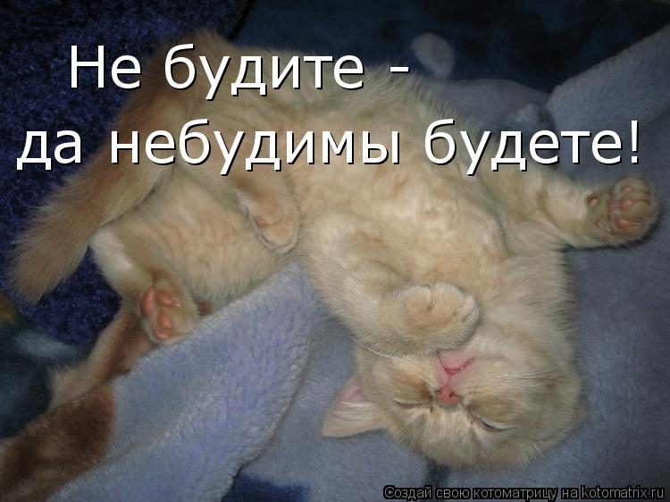 http://kotomatrix.ru/images/lolz/2009/03/09/tH.jpg