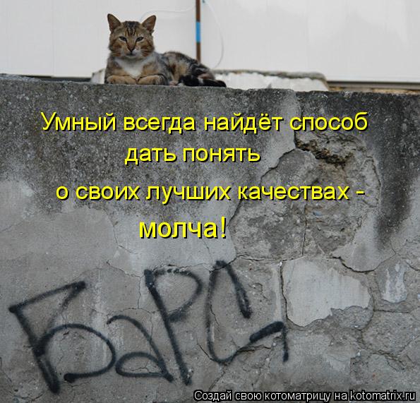 Умный всегда найдёт способ дать понять о своих лучших качествах - молча!... Котоматрица: Умный всегда найдёт способ дать понять о своих лучших качествах - молча!