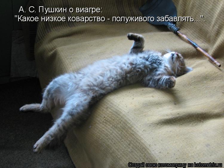 А. С. Пушкин о виагре: "Какое низкое коварство - полуживого забавлять...".... Котоматрица: А. С. Пушкин о виагре: "Какое низкое коварство - полуживого забавлять...".