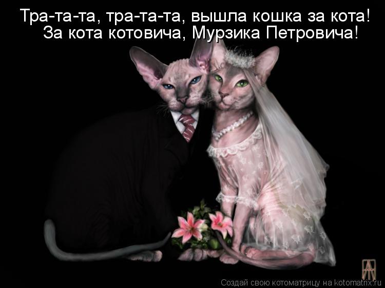 Тра-та-та, тра-та-та, вышла кошка за кота! За кота котовича, Мурзика Петровича!... Котоматрица: Тра-та-та, тра-та-та, вышла кошка за кота! За кота котовича, Мурзика Петровича!