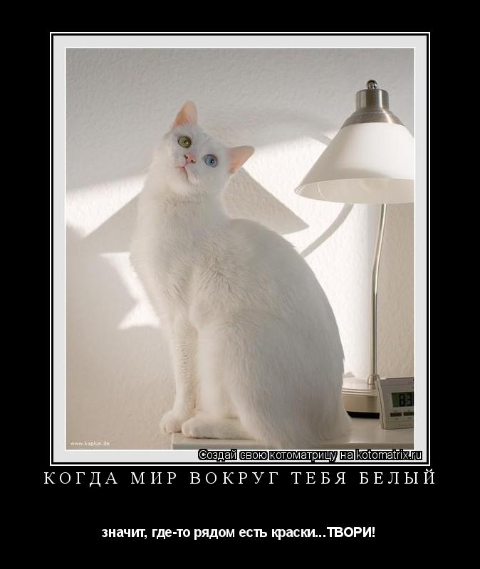 Когда мир вокруг тебя белый значит, где-то рядом есть краски...ТВОРИ!... Котоматрица: Когда мир вокруг тебя белый значит, где-то рядом есть краски...ТВОРИ!