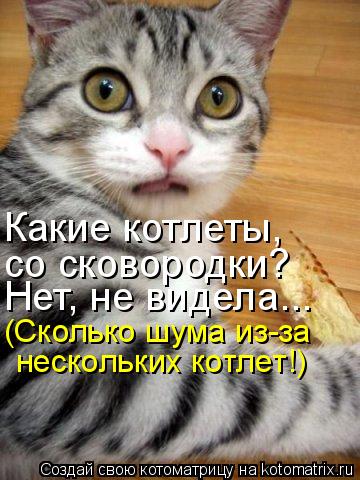 Какие котлеты, со сковородки? Нет, не видела... (Сколько шума из-за нескольких котлет!)... Котоматрица: Какие котлеты, со сковородки? Нет, не видела... (Сколько шума из-за нескольких котлет!)