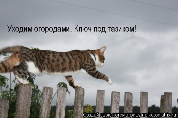 http://kotomatrix.ru/images/lolz/2009/03/10/Hs.jpg