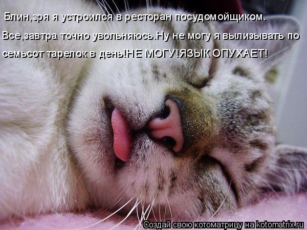 Все,завтра точно увольняюсь.Ну не могу я вылизывать по семьсот тарелок в день!НЕ МОГУ!ЯЗЫК ОПУХАЕТ! с... Котоматрица: Все,завтра точно увольняюсь.Ну не могу я вылизывать по семьсот тарелок в день!НЕ МОГУ!ЯЗЫК ОПУХАЕТ! семьсот тарелок в день!НЕ МОГУ!ЯЗЫК ОПУХ