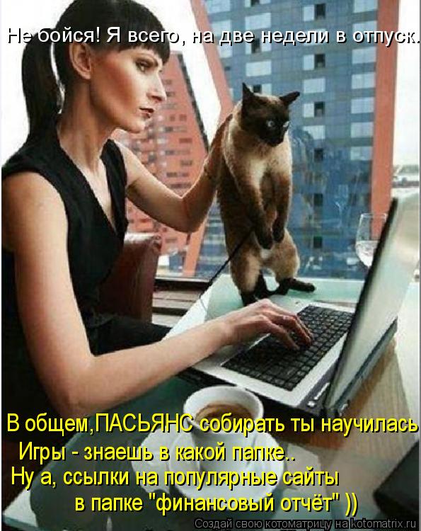 Не бойся! Я всего, на две недели в отпуск. В общем,ПАСЬЯНС собирать ты научилась Игры - знаешь в како... Котоматрица: Не бойся! Я всего, на две недели в отпуск. В общем,ПАСЬЯНС собирать ты научилась Игры - знаешь в какой папке.. Ну а, ссылки на популярные сайты