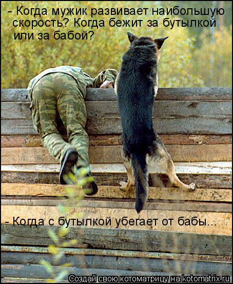 - Когда мужик развивает наибольшую скорость? Когда бежит за бутылкой или за бабой? - Когда с бутылко... Котоматрица: - Когда мужик развивает наибольшую скорость? Когда бежит за бутылкой или за бабой? - Когда с бутылкой убегает от бабы...