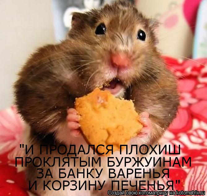 ПРОКЛЯТЫМ БУРЖУИНАМ ЗА БАНКУ ВАРЕНЬЯ "И ПРОДАЛСЯ ПЛОХИШ И КОРЗИНУ ПЕЧЕНЬЯ"... Котоматрица: ПРОКЛЯТЫМ БУРЖУИНАМ ЗА БАНКУ ВАРЕНЬЯ "И ПРОДАЛСЯ ПЛОХИШ И КОРЗИНУ ПЕЧЕНЬЯ"