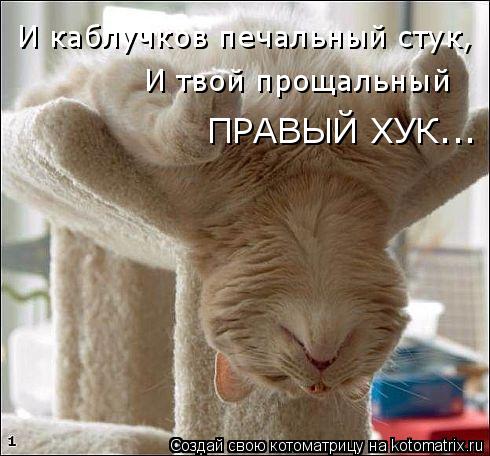 ПРАВЫЙ ХУК... И твой прощальный И каблучков печальный стук,... Котоматрица: ПРАВЫЙ ХУК... И твой прощальный И каблучков печальный стук,