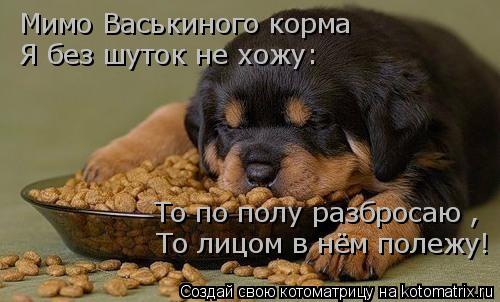 Мимо Васькиного корма Я без шуток не хожу: То по полу разбросаю , То лицом в нём полежу!... Котоматрица: Мимо Васькиного корма Я без шуток не хожу: То по полу разбросаю , То лицом в нём полежу!