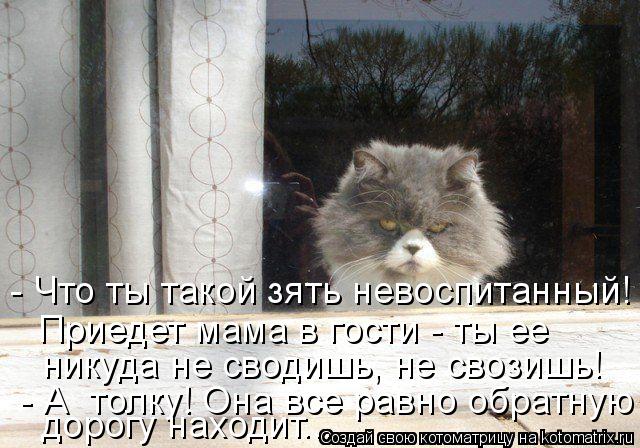 - Что ты такой зять невоспитанный! Приедет мама в гости - ты ее никуда не сводишь, не свозишь! - А... Котоматрица: - Что ты такой зять невоспитанный! Приедет мама в гости - ты ее никуда не сводишь, не свозишь! - А толку! Она все равно обратную дорогу наход