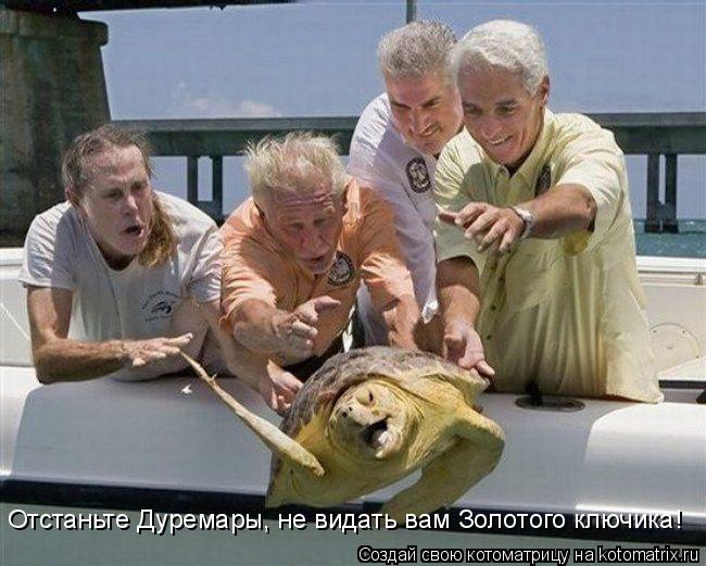Отстаньте Дуремары, не видать вам Золотого ключика!... Котоматрица: Отстаньте Дуремары, не видать вам Золотого ключика!