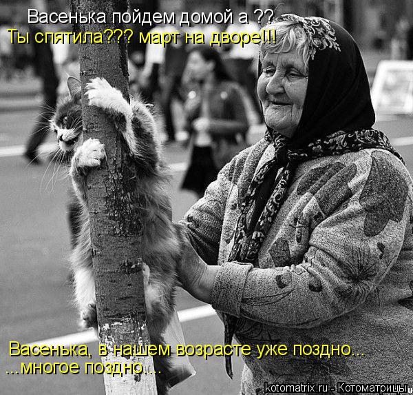 Васенька пойдем домой а ?? Ты спятила??? март на дворе!!! Васенька, в нашем возрасте уже поздно... ..... Котоматрица: Васенька пойдем домой а ?? Ты спятила??? март на дворе!!! Васенька, в нашем возрасте уже поздно... ...многое поздно....