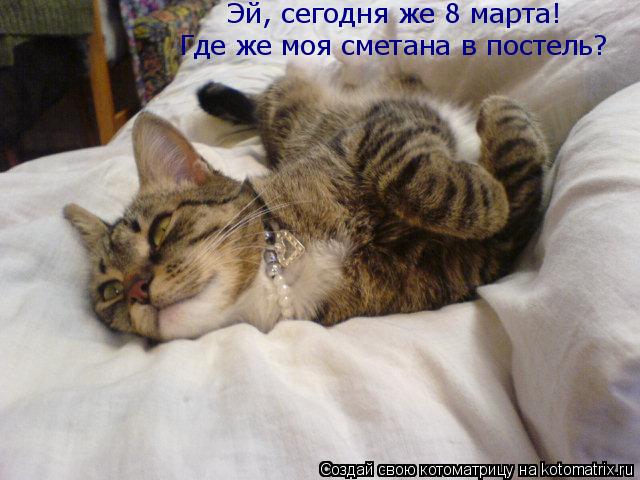 Эй, сегодня же 8 марта! Где же моя сметана в постель?... Котоматрица: Эй, сегодня же 8 марта! Где же моя сметана в постель?