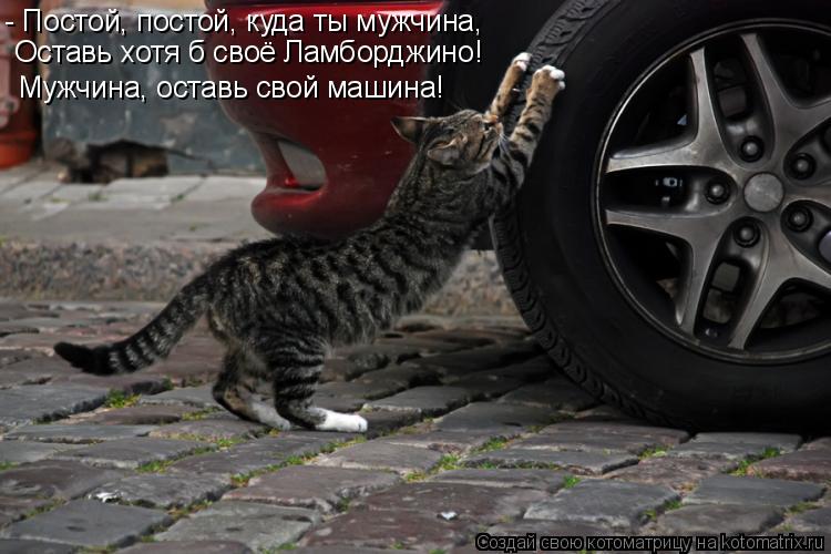 - Постой, постой, куда ты мужчина, Мужчина, оставь свой машина! Оставь хотя б своё Ламборджино!... Котоматрица: - Постой, постой, куда ты мужчина, Мужчина, оставь свой машина! Оставь хотя б своё Ламборджино!