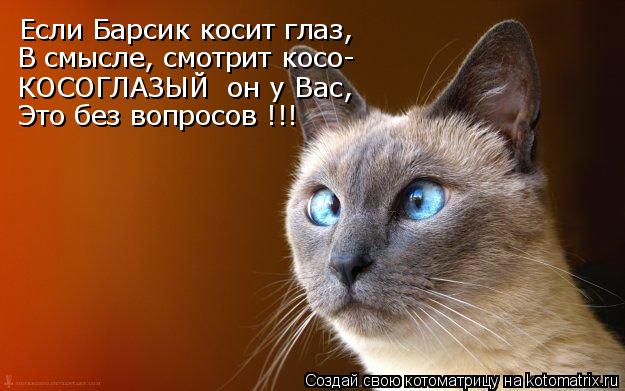 Если Барсик косит глаз, В смысле, смотрит косо- КОСОГЛАЗЫЙ он у Вас, Это без вопросов !!!... Котоматрица: Если Барсик косит глаз, В смысле, смотрит косо- КОСОГЛАЗЫЙ он у Вас, Это без вопросов !!!