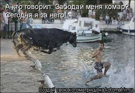 А кто говорил: Забодай меня комар? Сегодня я за него!... Котоматрица: А кто говорил: Забодай меня комар? Сегодня я за него!