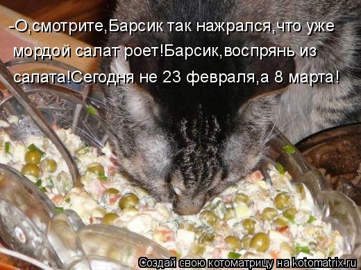 Котоматрица: -О,смотрите,Барсик так нажрался,что уже мордой салат роет!Барсик,воспрянь из салата!Сегодня не 23 февраля,а 8 марта!