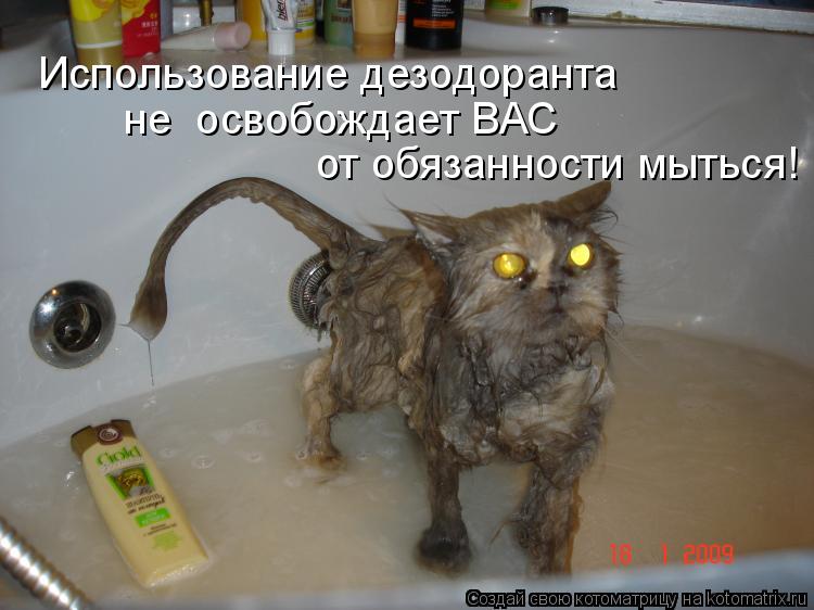 Использование дезодоранта не освобождает ВАС от обязанности мыться!... Котоматрица: Использование дезодоранта не освобождает ВАС от обязанности мыться!
