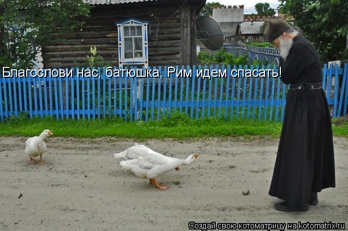 Благослови нас, батюшка, Рим идем спасать!... Котоматрица: Благослови нас, батюшка, Рим идем спасать!