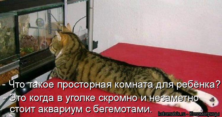 - Что такое просторная комната для ребёнка? - Это когда в уголке скромно и незаметно стоит аквариу... Котоматрица: - Что такое просторная комната для ребёнка? - Это когда в уголке скромно и незаметно стоит аквариум с бегемотами.