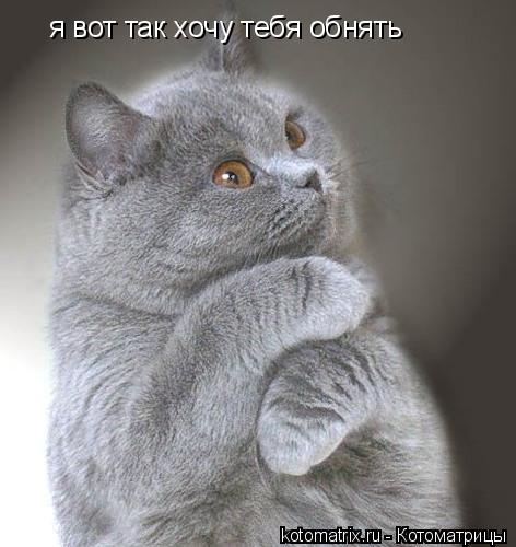 вот так хочу тебя обнять картинка онлайн вот так хочу тебя обнять картинка