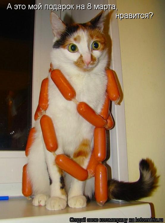 Котоматрица: А это мой подарок на 8 марта, нравится?