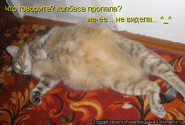 Котоматрица: что говорите? колбаса пропала? не-ее... не видела... ^_^