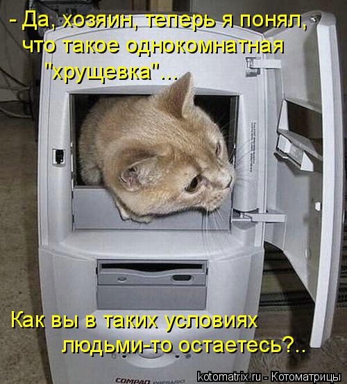 - Да, хозяин, теперь я понял, что такое однокомнатная "хрущевка"... Как вы в таких условиях людьми-то... Котоматрица: - Да, хозяин, теперь я понял, что такое однокомнатная "хрущевка"... Как вы в таких условиях людьми-то остаетесь?..