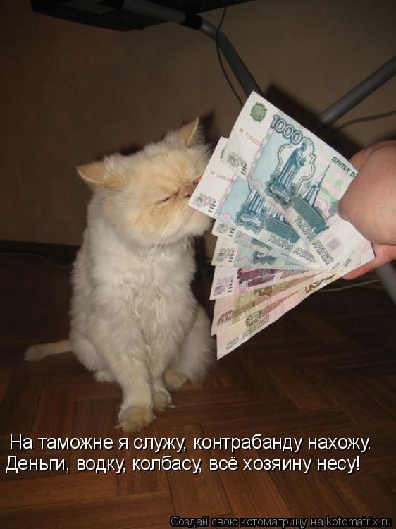 На таможне я служу, контрабанду нахожу. Деньги, водку, колбасу, всё хозяину несу!... Котоматрица: На таможне я служу, контрабанду нахожу. Деньги, водку, колбасу, всё хозяину несу!