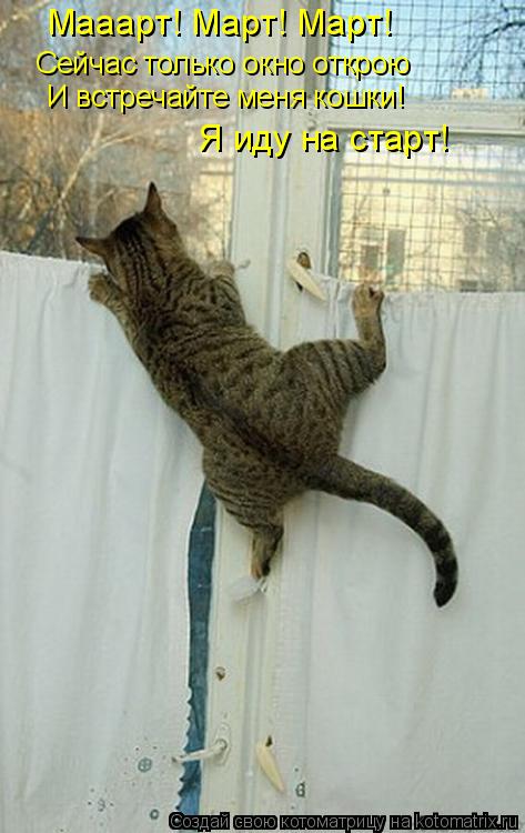 Котоматрица: Мааарт! Март! Март! Сейчас только окно открою И встречайте меня кошки! Я иду на старт!