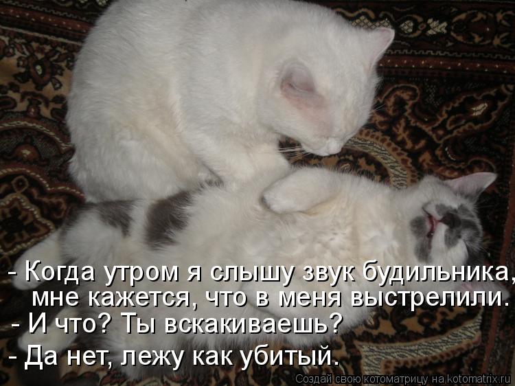 - Когда утром я слышу звук будильника, мне кажется, что в меня выстрелили. - И что? Ты вскакиваешь?... Котоматрица: - Когда утром я слышу звук будильника, мне кажется, что в меня выстрелили. - И что? Ты вскакиваешь? - Да нет, лежу как убитый.