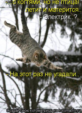 -...с когтями, но не птица! летит и матерится.. - Электрик..? - На этот раз не угадали..... Котоматрица: -...с когтями, но не птица! летит и матерится.. - Электрик..? - На этот раз не угадали..